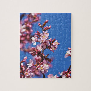Sakura Cherry Blossom met Blue Legpuzzel