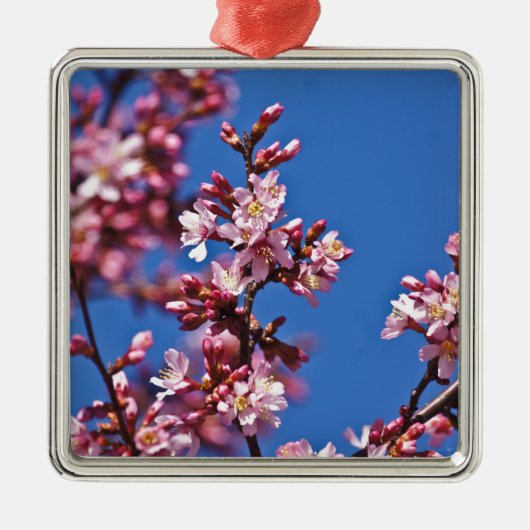 Sakura Cherry Blossom met Blue Metalen Ornament (Voorkant)