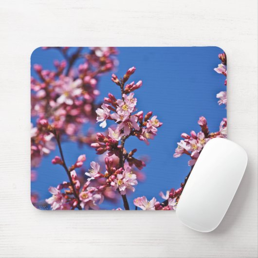 Sakura Cherry Blossom met Blue Muismat (Met muis)