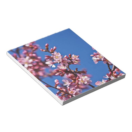 Sakura Cherry Blossom met Blue Notitieblok (Schuin)