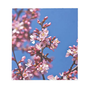 Sakura Cherry Blossom met Blue Notitieblok