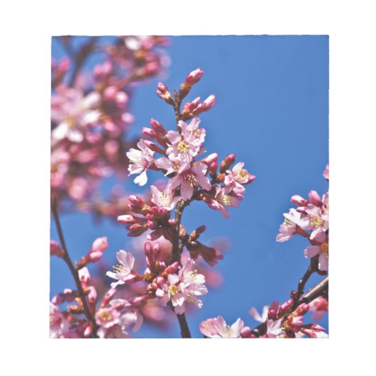 Sakura Cherry Blossom met Blue Notitieblok (Voorkant)