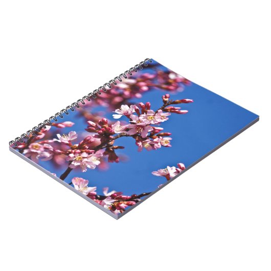 Sakura Cherry Blossom met Blue Notitieboek (Linkerzijde)