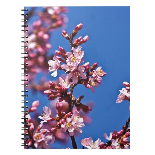 Sakura Cherry Blossom met Blue Notitieboek (Voorkant)