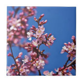 Sakura Cherry Blossom met Blue Tegeltje (Voorkant)