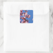 Sakura Cherry Blossom met Blue Vierkante Sticker (Tas)