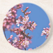 Sakura Cherry Blossom met Blue Zandsteen Onderzetter (Voorkant)