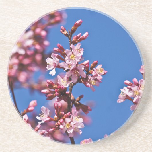 Sakura Cherry Blossom met Blue Zandsteen Onderzetter (Voorkant)