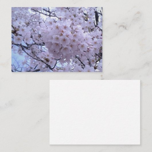 Sakura Cherry Blossom Note Cards Notitiekaartje (Voorkant / Achterkant)