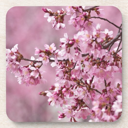 Sakura Cherry Blossom Pastel Pink Layers Bier Onderzetter (Voorkant)