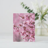 Sakura Cherry Blossom Pastel Pink Layers Briefkaart (Staand voorkant)
