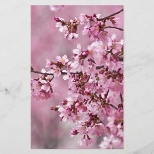 Sakura Cherry Blossom Pastel Pink Layers Briefpapier (Voorkant)
