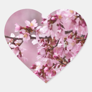 Sakura Cherry Blossom Pastel Pink Layers Hart Sticker