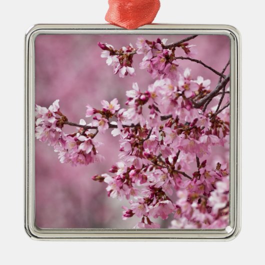 Sakura Cherry Blossom Pastel Pink Layers Metalen Ornament (Voorkant)