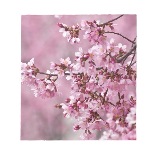 Sakura Cherry Blossom Pastel Pink Layers Notitieblok (Voorkant)
