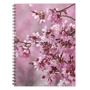 Sakura Cherry Blossom Pastel Pink Layers Notitieboek