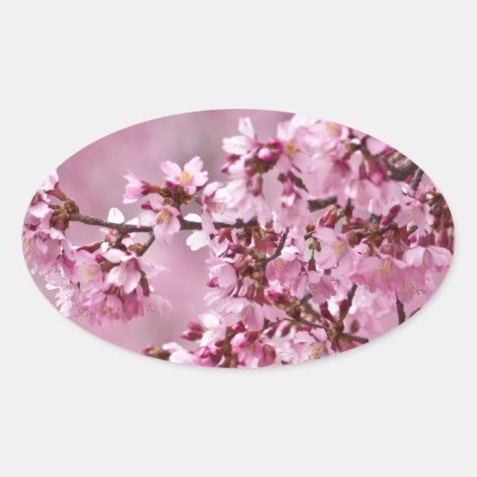 Sakura Cherry Blossom Pastel Pink Layers Ovale Sticker (Voorkant)