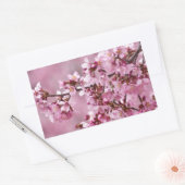 Sakura Cherry Blossom Pastel Pink Layers Rechthoekige Sticker (Envelop)