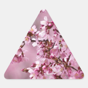 Sakura Cherry Blossom Pastel Pink Layers Sticker