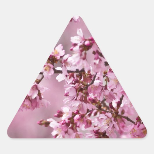 Sakura Cherry Blossom Pastel Pink Layers Sticker (Voorkant)