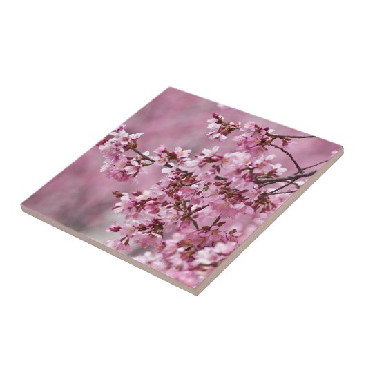Sakura Cherry Blossom Pastel Pink Layers Tegeltje (Zijkant)