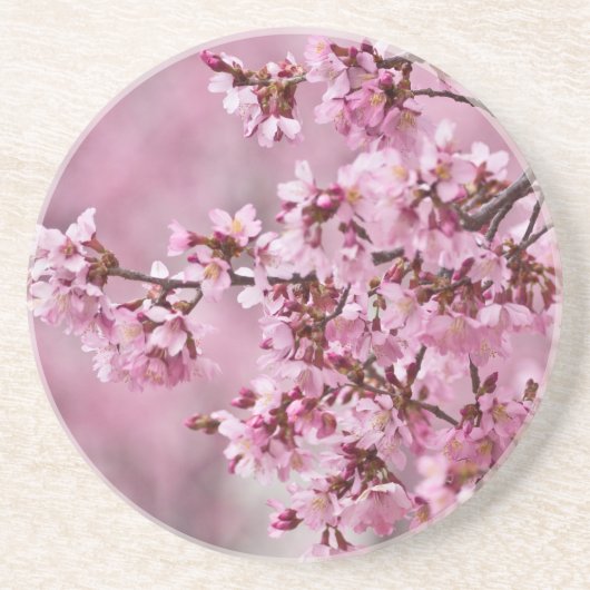 Sakura Cherry Blossom Pastel Pink Layers Zandsteen Onderzetter (Voorkant)