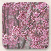 Sakura Cherry Blossom Pink Bier Onderzetter (Voorkant)