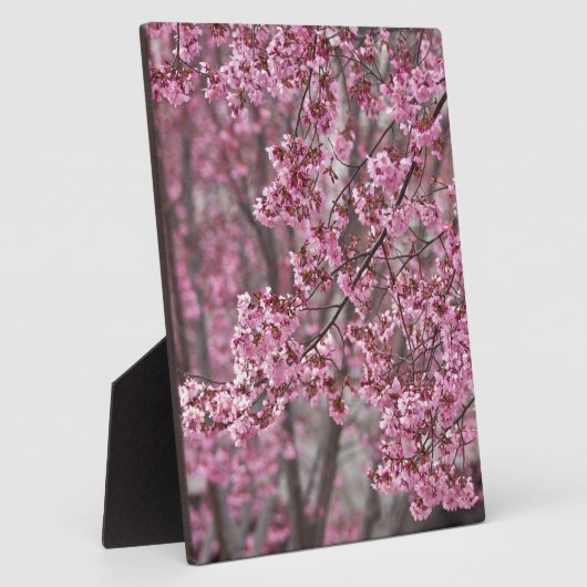 Sakura Cherry Blossom Pink Fotoplaat (Zijkant)