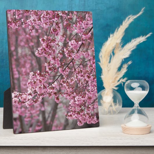 Sakura Cherry Blossom Pink Fotoplaat (Zijkant)