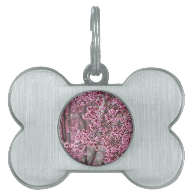 Sakura Cherry Blossom Pink Huisdieren Naamplaatje (voorkant)