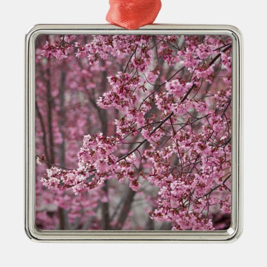 Sakura Cherry Blossom Pink Metalen Ornament (Voorkant)