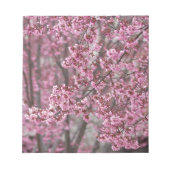 Sakura Cherry Blossom Pink Notitieblok (Voorkant)