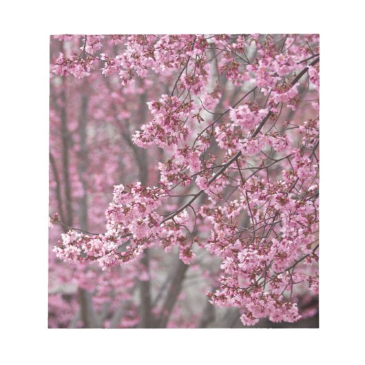 Sakura Cherry Blossom Pink Notitieblok (Voorkant)