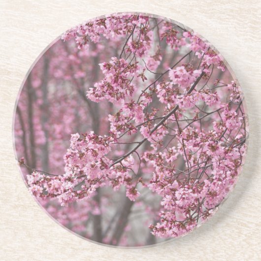 Sakura Cherry Blossom Pink Zandsteen Onderzetter (Voorkant)