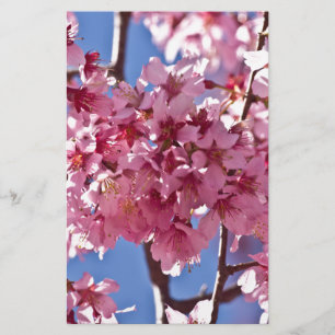 Sakura Cherry Blossom Red Stars Briefpapier