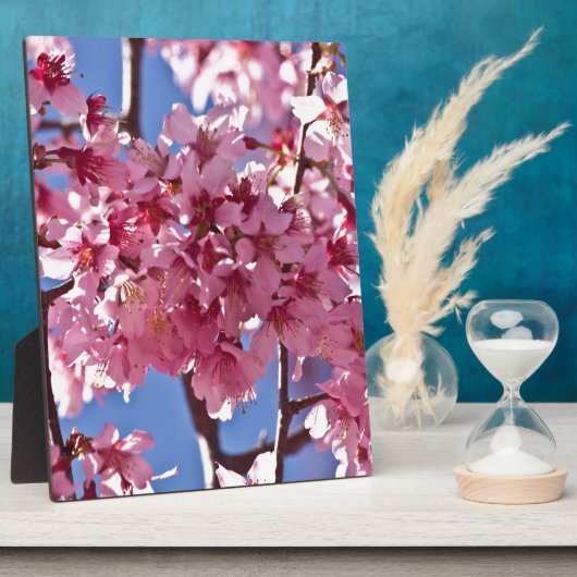 Sakura Cherry Blossom Red Stars Fotoplaat (Zijkant)