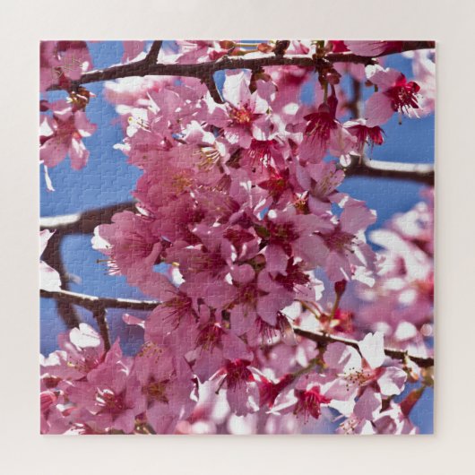 Sakura Cherry Blossom Red Stars Legpuzzel (Horizontaal)