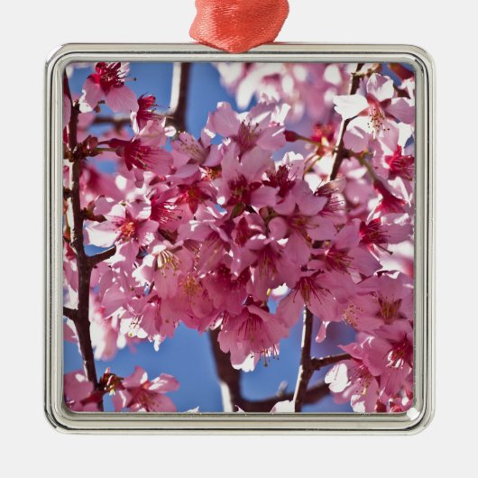 Sakura Cherry Blossom Red Stars Metalen Ornament (Voorkant)