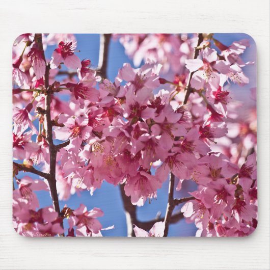 Sakura Cherry Blossom Red Stars Muismat (Voorkant)
