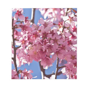 Sakura Cherry Blossom Red Stars Notitieblok