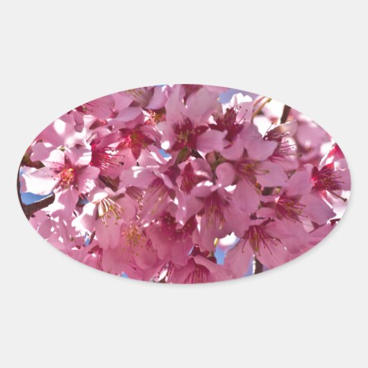 Sakura Cherry Blossom Red Stars Ovale Sticker (Voorkant)