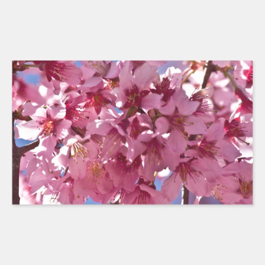 Sakura Cherry Blossom Red Stars Rechthoekige Sticker (Voorkant)