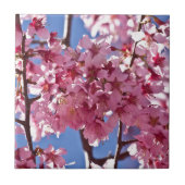 Sakura Cherry Blossom Red Stars Tegeltje (Voorkant)