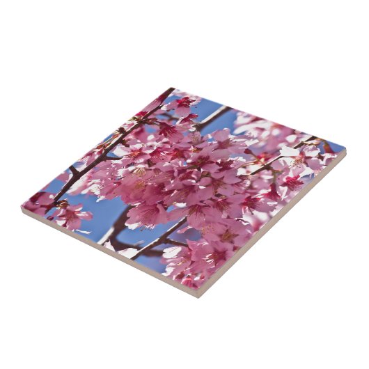 Sakura Cherry Blossom Red Stars Tegeltje (Zijkant)