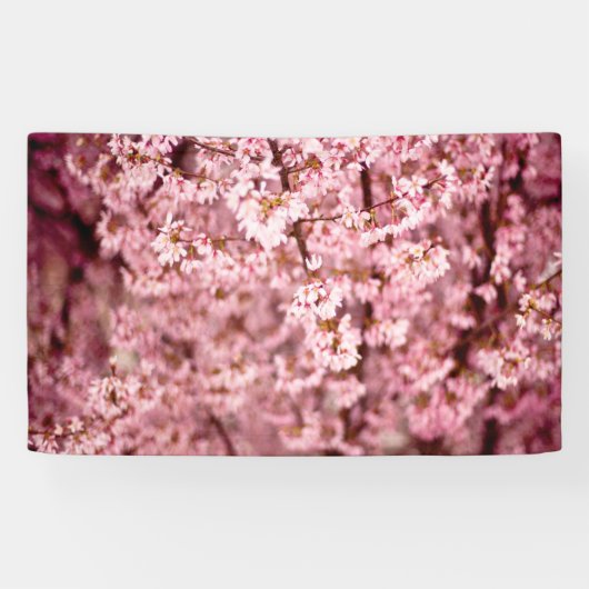 Sakura Cherry Blossom Spandoek (Horizontaal)