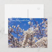 Sakura Cherry Blossom White Blue Sky Tokyo Briefkaart (Voorkant / Achterkant)