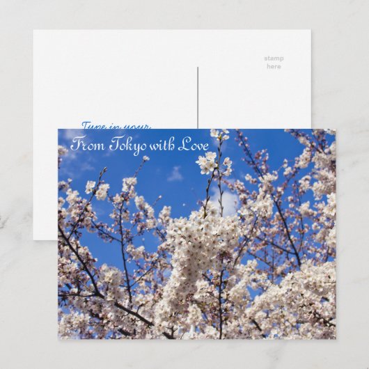 Sakura Cherry Blossom White Blue Sky Tokyo Briefkaart (Voorkant / Achterkant)