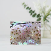 Sakura Cherry Blossoms Briefkaart (Staand voorkant)