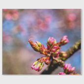 Sakura Cherry Tree Buds. Het begin van de lente Cadeaupapier (Vlak)