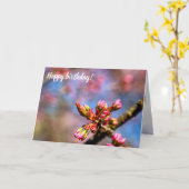 Sakura Cherry Tree Buds. Het begin van de lente Kaart (Gele Bloem)